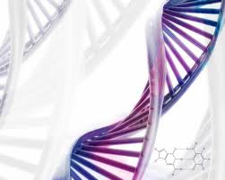基因合成技术服务，免费基因优化及设计克隆方案