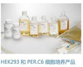 无血清培养基-HEK 293和PER.C6细胞培养平台