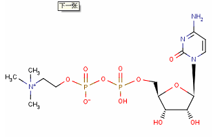 胞磷胆碱citicoline