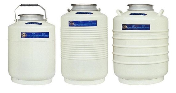 金凤液氮罐YDS-13-125 不含提筒 优等品