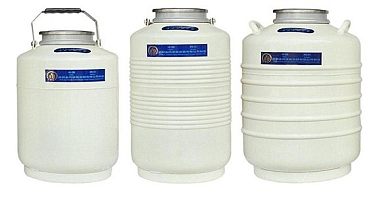 金凤液氮罐YDS-13-125 不含提筒 优等品