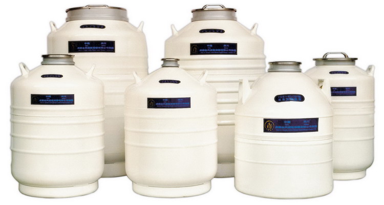 金凤液氮罐YDS-30 含长提筒 合格品