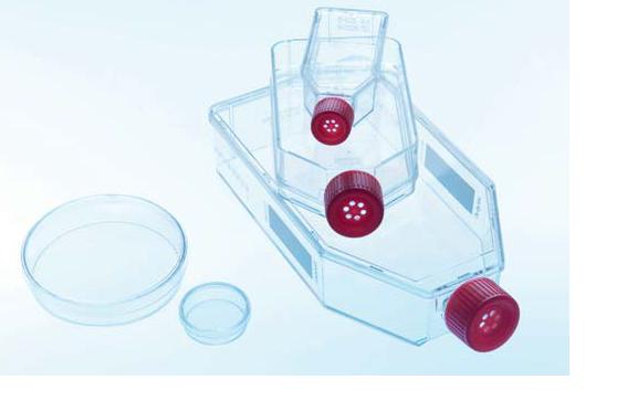 纤连蛋白预包被细胞培养皿、细胞培养瓶