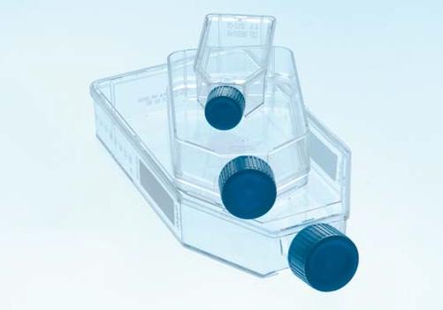 Advanced TC细胞培养瓶（标准盖/滤盖）