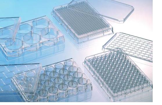 蛋白包被细胞培养微孔板（384、1536孔）