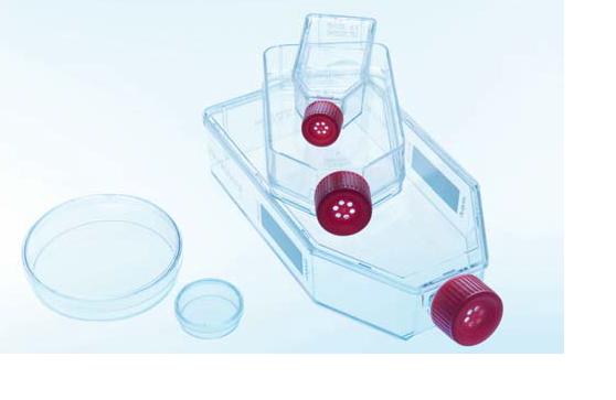 层粘连蛋白预包被细胞培养皿、细胞培养瓶