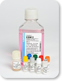 LONZA ，EGM-2MV，EGM-2，培养基，cc-3162，cc-3202，cc-4176，cc-3156，cc-4147