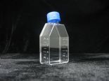 25cm2细胞培养瓶 标准型