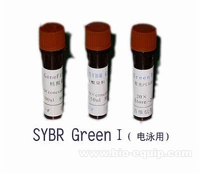 Sybr Green I