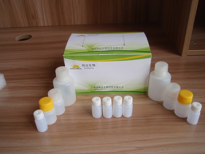 黄曲霉毒素M1 elisa检测试剂盒