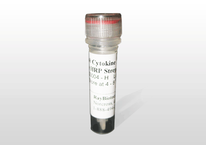 Jagged-1 (aa 188-204), Notch Ligand