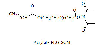ACRL-PEG-SCM，丙烯酸-聚乙二醇-琥珀酰亚胺乙酸酯，Acrylate-PEG-SCM