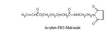 ACRL-PEG-MAL，丙烯酸-聚乙二醇-马来酰亚胺，Acrylate-PEG-Maleimide