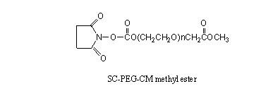 SC-PEG-CMme，琥珀酰亚胺碳酸酯-聚乙二醇-羧甲基（甲酯），SC-PEG-CM (methyl ester)