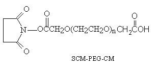CM-PEG-SCM，羧甲基-聚乙二醇-琥珀酰亚胺乙酸酯，Carboxymethyl-PEG-Succinimidyl Carboxymethyl