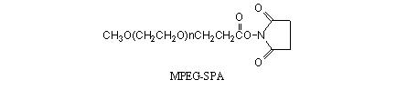 mPEG-SPA，甲氧基-聚乙二醇-琥珀酰亚胺丙酸酯
