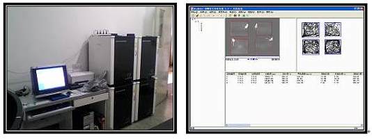 大小鼠通用自发活动（开场/旷场open field）视频分析系统