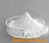 大麦芽碱盐酸盐