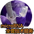 microRNA全套技术服务