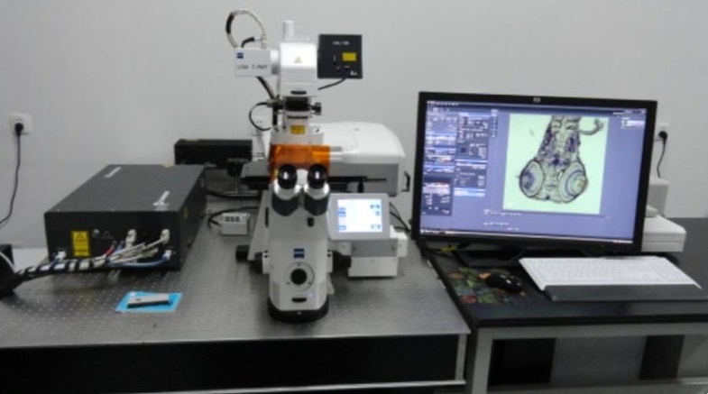 激光共聚焦显微镜检测服务