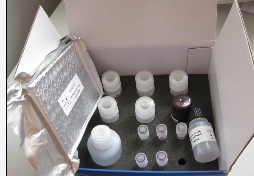 皮肤桥蛋白(DPT)检测试剂盒