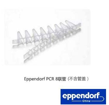Eppendorf 无管盖定量PCR8联管 10x12/包