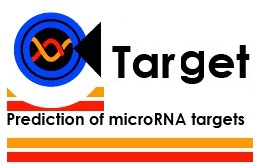 芯片差异microRNA靶基因分析