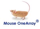 华联OneArray®小鼠表达谱芯片服务(MOA)