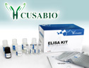Pig CART prepropeptide (CARTPT) ELISA kit，Pig CART prepropeptide (CARTPT) ELISA kit