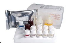 大鼠C肽ELISA检测试剂盒