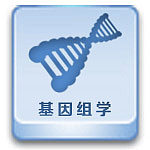 华大科技——基因组与表观组方案解决专家