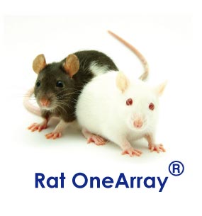 华联OneArray®大鼠表达谱芯片服务(ROA)