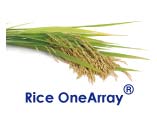 华联OneArray®水稻表达谱芯片服务 (RiOA)