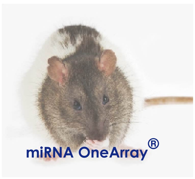 华联OneArray®小鼠&大鼠miRNA芯片服务 (MRmiOA)