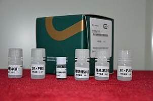 GoldMag®-CS纳米磁珠抗体偶联试剂盒(50nm）