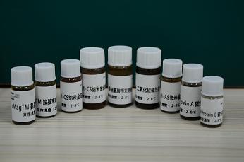 GoldMag® -CS纳米磁珠 (50 nm)