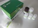 供应销售Annexin V-RFP细胞凋亡检测试剂盒