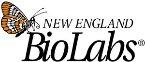 NEBNext® High-Fidelity 2X PCR Master Mix