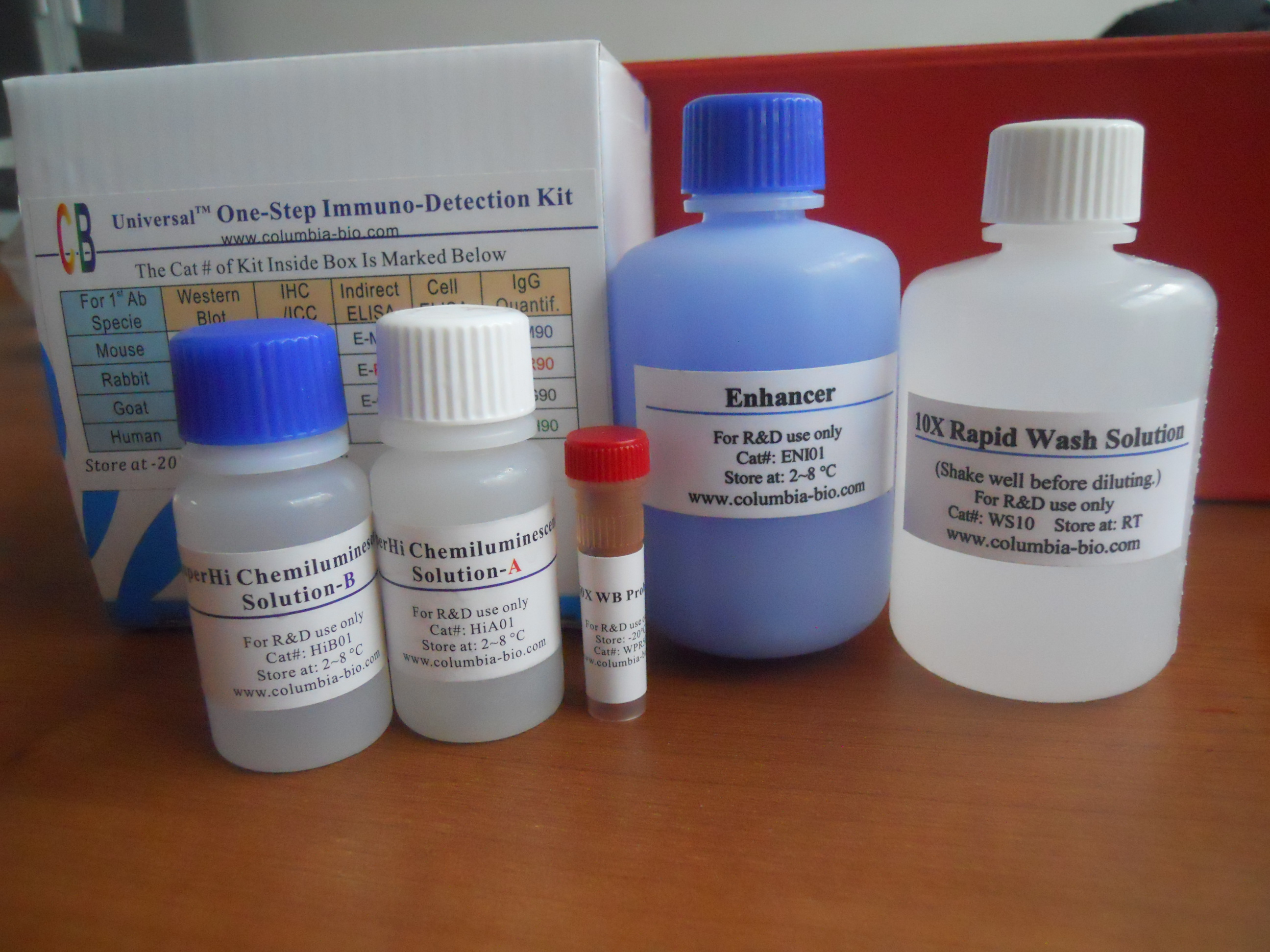 一步法免疫组化(IHC)试剂盒