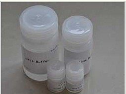 考马斯蛋白胶快速染色液