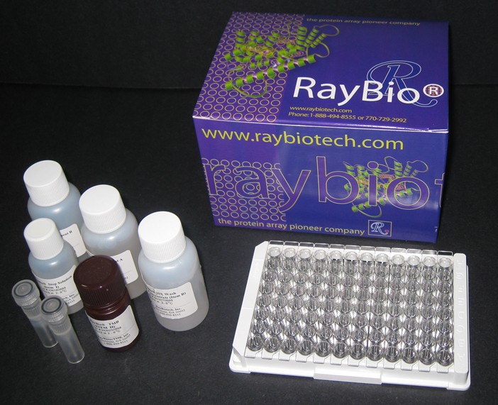 RayBiotech EIA系列试剂盒产品