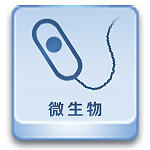 细菌精细图