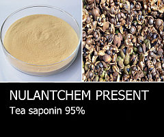 Offer Tea saponin 95%