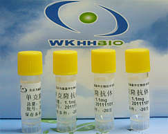 玉米赤霉烯酮单克隆抗体抗原，适合生产ELISA或者胶体金产品