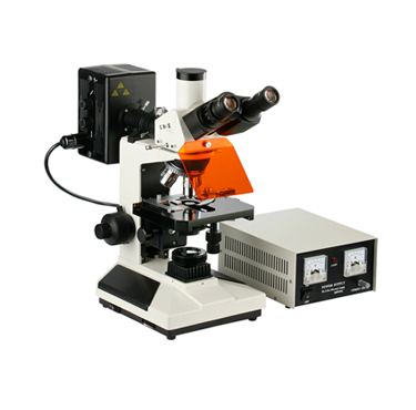 FM-300荧光显微镜