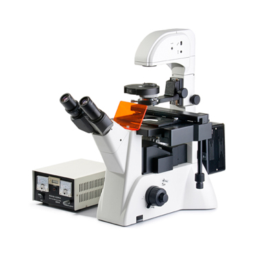 FM-600科研型倒置荧光显微镜