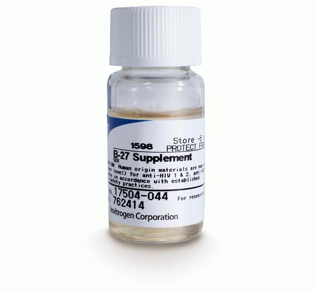 B-27® Serum-Free Supplement (50X), Liquid,N-2 Supplement (100X), Liquid,G-5 Supplement (100X), Liqui