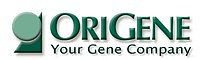 Origene TGFB1 (Human) -siRNA SR304805