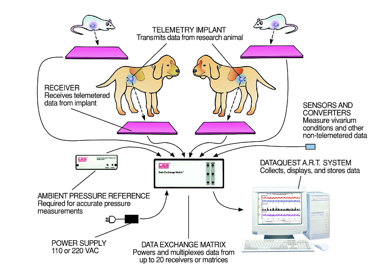 DSI植入式清醒动物生理信号无线遥测系统