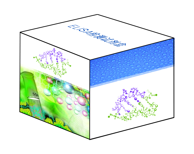  大鼠噬酸性粒细胞趋化因子(rat Eotaxin)ELISA试剂盒